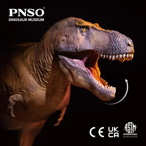 Vista 6 de Serie de Museos de Dinosaurios PNSO: Cameron el Tiranosaurio Rex T. Rex Exhibit Set de 13.8" - Modelo de fósil de calavera - Mandíbula de apertura