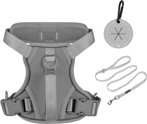 Vista 10 de Petmolico Arnés para perros pequeños, bonito arnés con dos clips para correa y mango suave, chaleco reflectante para cachorros fácil de caminar
