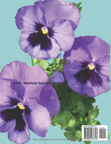 Vista 2 de COLORING BOOK SIRENITAS Y MAS (Spanish Edition)