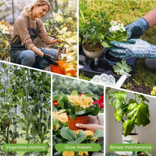 Vista 7 de Paquete de 5 soportes apilables para plantas Monstera, estacas de soporte para plantas de jardín para uso de plantas de interior y exterior, estacas