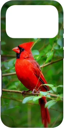Vista 30 de Hermosa cardenal pájaro rojo escena de la naturaleza caso para iPhone 17