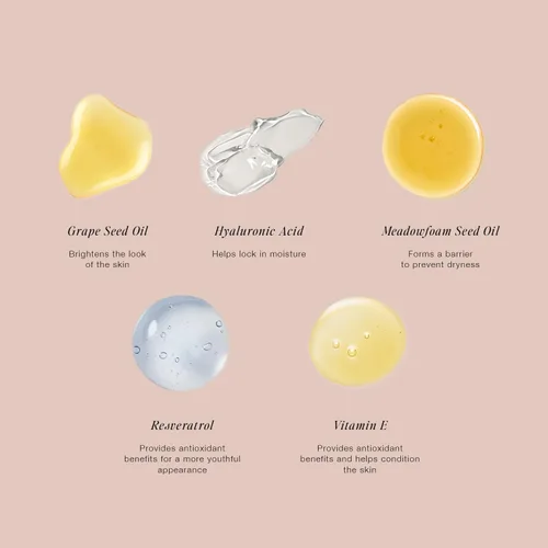 Vista 5 de Jouer Essential - Lápiz corrector de alta cobertura para debajo de los ojos - Corrector para ojeras - Maquillaje iluminador para círculos