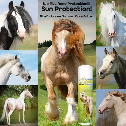 Vista 5 de The Blissful Horses - Mantequilla solar para el cuidado de verano, protector solar suave para caballos, solución de protección solar equina fácil