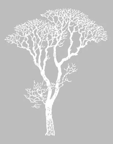 Vista 4 de Adhesivo decorativo para pared, diseño de ramas de árbol desnudo, negro, 6 pies de alto (72 pulgadas de alto x 58 pulgadas de ancho). Fácil