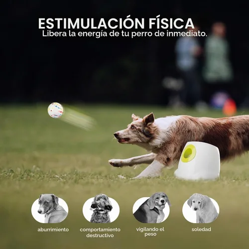 Vista 2 de AFP - Lanzador automático de bolas para perros con bola ETPU de 2.5