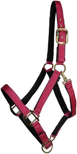 Vista 14 de Dura-Tech Cabestro de caballo de nailon totalmente acolchado Cabestro para caballo diseñado para evitar rozaduras Corona y bordillo de caballo