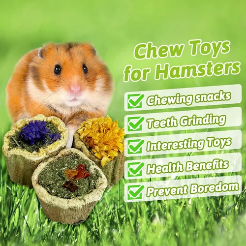 Vista 5 de BNOSDM Golosinas masticables para hámster, papaya, conejillo de indias Mixto - 1 paquete
