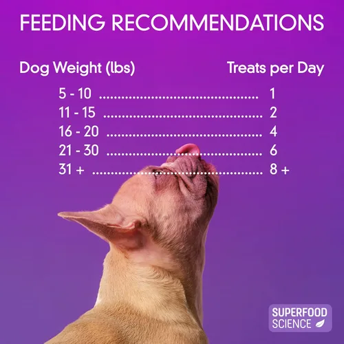 Vista 9 de Golosinas orgánicas para perros, golosinas orgánicas suaves y masticables para perros de pavo, bajas en calorías, hipoalergénicas, naturales