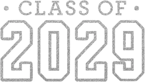 Vista 10 de Calcomanía para planchar de clase 2029, parche de camiseta de clase superior, transferencia de calor, calcomanía gráfica de camiseta HTV