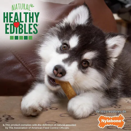 Vista 5 de Nylabone Healthy Edibles - Golosinas para cachorros, sabor cordero