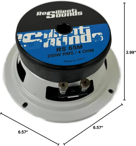 Vista 6 de Resilient Sounds Altavoz RS 65M 250w rms 4ohm 6.5