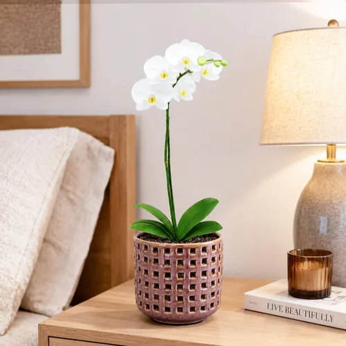 Vista 6 de D'vine Dev Maceta de cerámica para orquídeas de 4.5 pulgadas con diseño de recorte de celosía, maceta esmaltada con maceta transparente y platillo