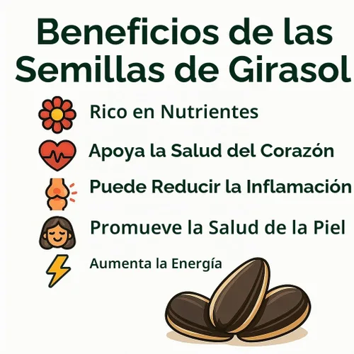 Vista 5 de Semillas de girasol crudas cultivadas en EE. UU. en cáscara, 1 libra Semillas de girasol sin sal para pájaros y para comer