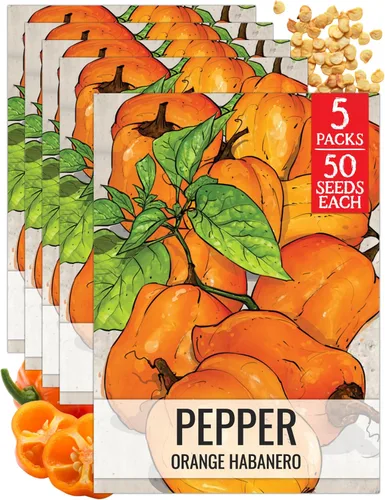 Vista 47 de Seed Needs - Semillas de pimiento arcoíris para plantar verduras, 1 paquete