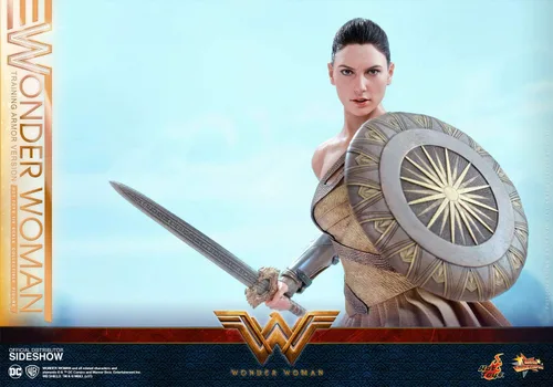 Vista 5 de Hot Toys DC Comics Wonder Woman