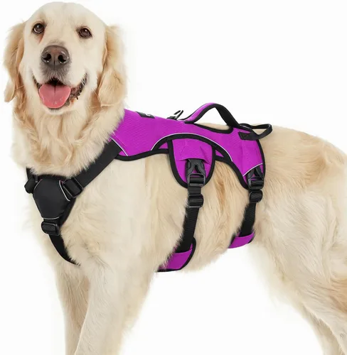 Vista 26 de rabbitgoo - Arnés para perros a prueba de fugas, arnés para mascotas acolchado y suave de cuerpo completo, arnés reflectante ajustable sin tirones
