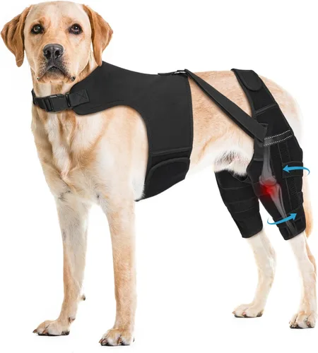 Vista 11 de Dog Knee Brace with Metal Stabilizers for Torn ACL Hind Leg, XS