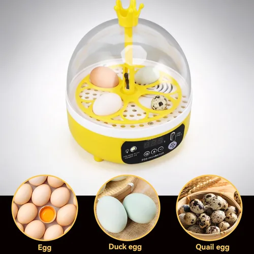 Vista 6 de Mini incubadora de huevos, incubadora de 4 huevos, máquina para eclosionar el hogar, control automático de temperatura y humedad para granja, aula