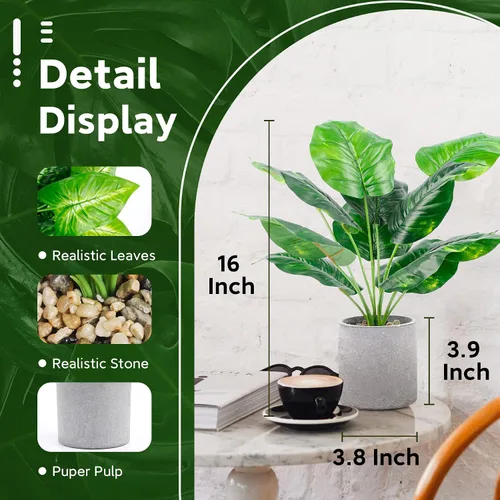 Vista 2 de Un paquete de 2 plantas falsas y 2 paquetes de plantas falsas, pequeñas plantas artificiales en macetas, plantas artificiales en macetas negras