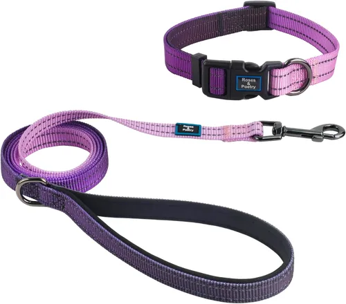 Vista 7 de Roses&Poetry - Juego de collar y correa reflectante para perros pequeños, arneses para cachorros con collares, collar y correa de nailon ajustable