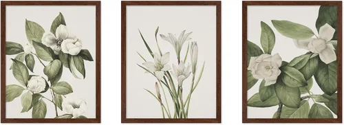 Vista 13 de Poster Master Póster botánico vintage de 3 piezas, estampado floral retro, regalo para artistas, amigos, flores de acuarela, brillante, azul