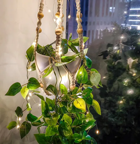 Vista 8 de Comtelek - Maceta colgante con luces para interiores, cesta colgante de macramé con cuentas de madera, soporte para macetas sin borlas