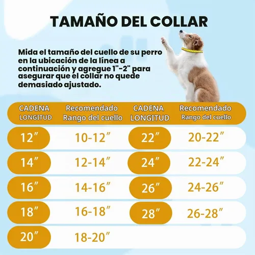 Vista 6 de BAOBOTE Collar de perro de cadena dorada con hebilla de cierre segura