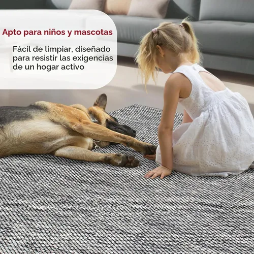 Vista 6 de nuLOOM Alessi - Alfombra decorativa de algodón sólido de granja, 2 x 3, color gris