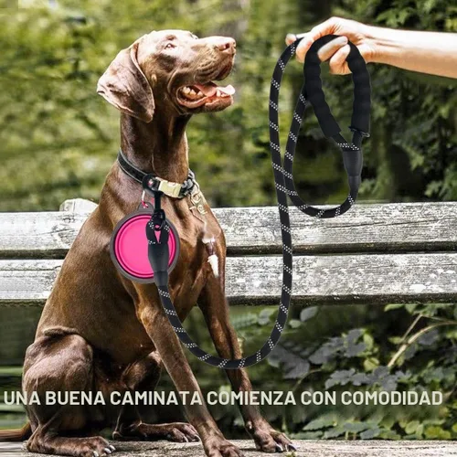 Vista 2 de COOYOO - Conjunto de 2 correas para perro de 5 pies, de alta resistencia, cómodo mango acolchado, correa reflectante para perros medianos y grandes