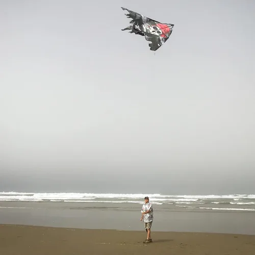 Vista 3 de In the Breeze 3257 — Smokin' Pirate Fringe 50" Delta Kite — Cometa voladora fácil para todas las edades, actividades de playa para niños y adultos