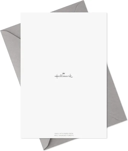 Vista 9 de Hallmark surtido de tarjetas de graduación (12 tarjetas y sobres, 4 diseños)