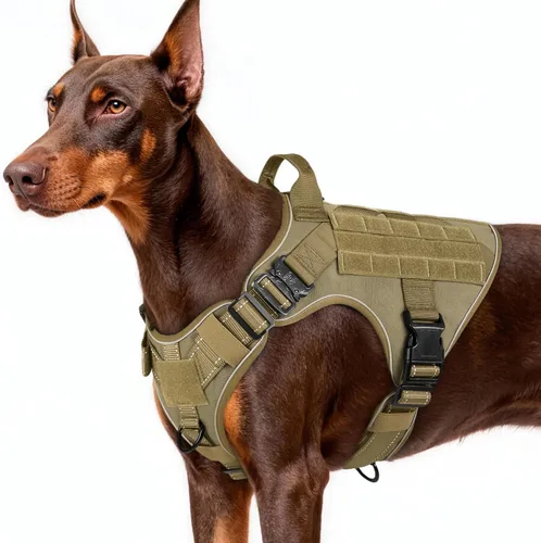 Vista 50 de rabbitgoo - Arnés táctico para perros pequeños, arnés resistente para mascotas con asa, chaleco de servicio sin tirones para razas pequeñas, chaleco