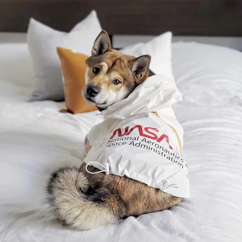Vista 5 de ChoChoCho Chubasqueros para perro, chaqueta de lluvia reflectante a prueba de agua, disfraz de perro de la NASA, ropa de perro, elegante atuendo