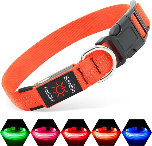 Vista 16 de Illumifun Collar LED para Perros Pequeños - Collar de Seguridad para Perros con Luz Recargable por USB, Collar con Luz de Correa de Nailon Ajustable