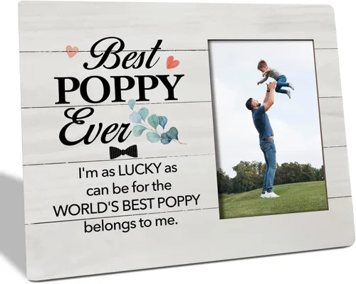 Vista 12 de Regalos para papá: placa de marco de fotos, feliz día del padre, divertido marco de fotos, regalo ideal para papá de hija o hijo