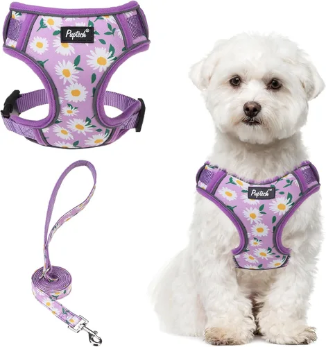 Vista 31 de PUPTECK Juego de arnés y correa para perro pequeño, arnés ajustable sin tirones para cachorro, chaleco de malla suave reflectante para mascotas