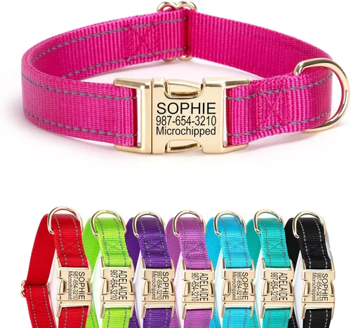 Vista 10 de Collar de perro de nailon reflectante personalizado con etiqueta de nombre Collares de perro con hebilla dorada grabados personalizados Collar