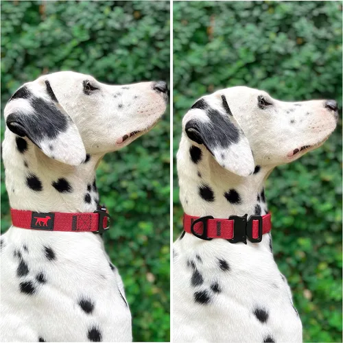 Vista 3 de Tuff Pupper Collar de acción impermeable para perros Collar de perro resistente al agua A prueba de desgarros y sin olor Herrajes metálicos