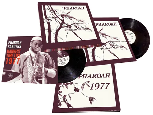 Vista 2 de Pharoah
