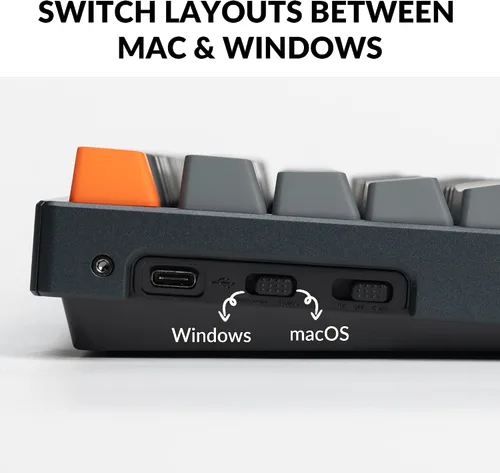Vista 6 de Keychron Teclado mecánico inalámbrico K8, diseño sin llave de 87 teclas Bluetooth/con cable RGB retroiluminado con interruptor azul óptico Gateron
