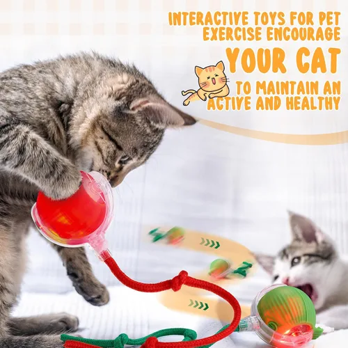Vista 5 de WinnerWhy Paquete de 6 bolas interactivas para gatos de 360° automáticas, nuevas bolas interactivas recargables regalos para amantes de los gatos