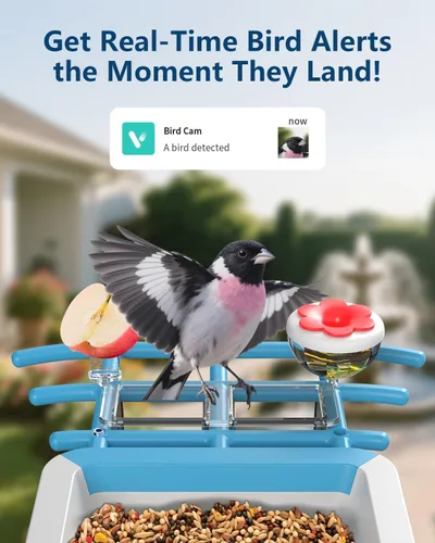 Vista 2 de Comedero inteligente para pájaros con cámara, video HD 2K, IA identifica especies de pájaros alimentado por energía solar, videos de captura