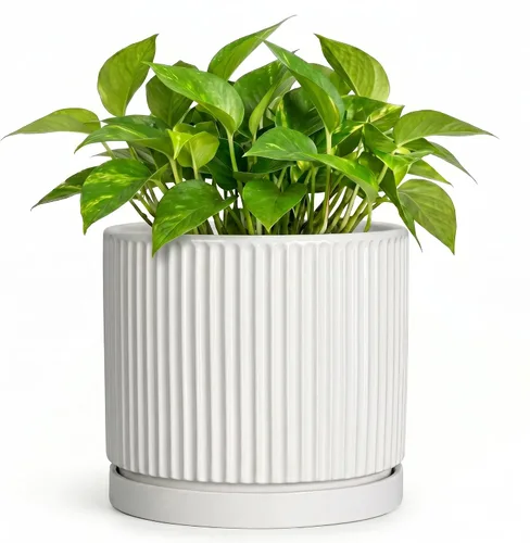 Vista 61 de 8 Inch Flower Pot, Ceramic Planters, Round Plant Pot, Beige