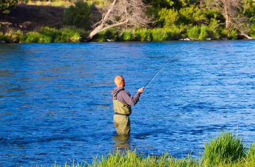 Vista 2 de The Fly Fishing Place Yellow Humpy Classic - Moscas de pesca con mosca seca - Juego de 6 moscas tamaño 10