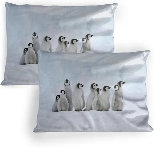 Vista 46 de Lunarable Juego de 2 fundas para almohada de otoño, tema vintage otoñal con estilo granja, ilustración de flores silvestres, artículo de cama