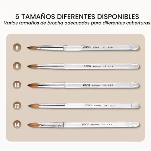 Vista 8 de Cepillo Pana USA para de uñas de acrílico, puro Kolinsky de pelo ovalado, forma prensada Transparente