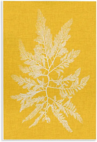 Vista 10 de Stupell Industries 'Coral Seaweed Blue White Beach Design' Placa de pared Sin marco