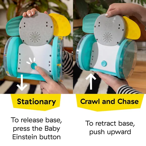 Vista 6 de Juguete de bebé para gatear Baby Einstein Chase & Tap Earl, con espejo y música, para bebés de 6 meses en adelante (Paquete de 4)