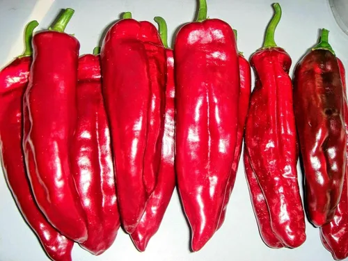 Vista 3 de Semillas Gigante Dulce Pimiento Rojo Cuerno No GMO Heirloom