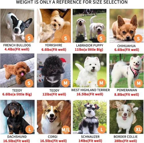 Vista 7 de Juego de arnés y correa para perros pequeños, ajustable, reflectante, sin tirones, chaleco para cachorro con collar de lazo, correa y bolsa